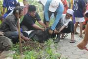 Kegiatan - Idul Adha
