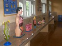 Laboratorium Biologi